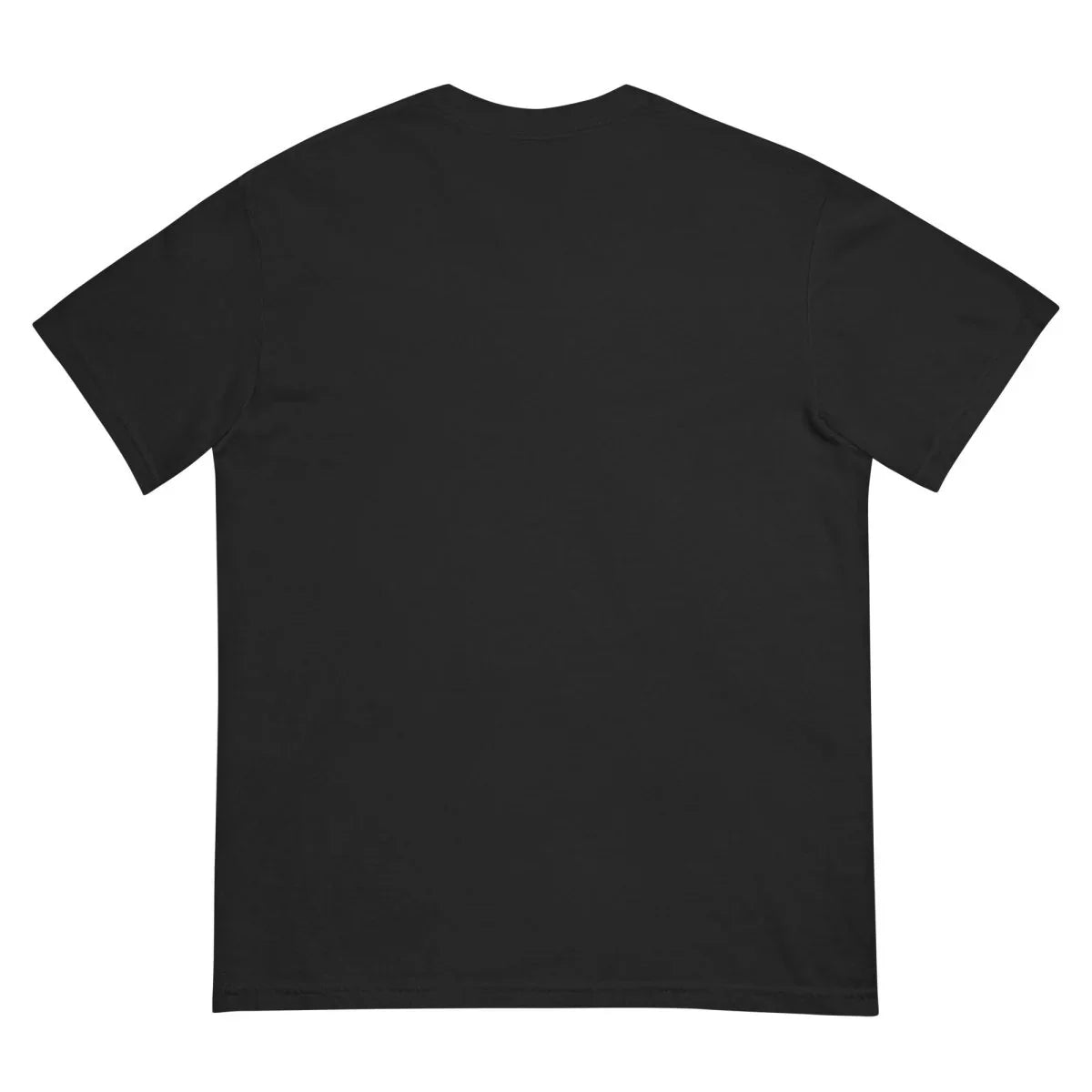 Unisex garment - dyed heavyweight t-shirt - The Flying Ortho